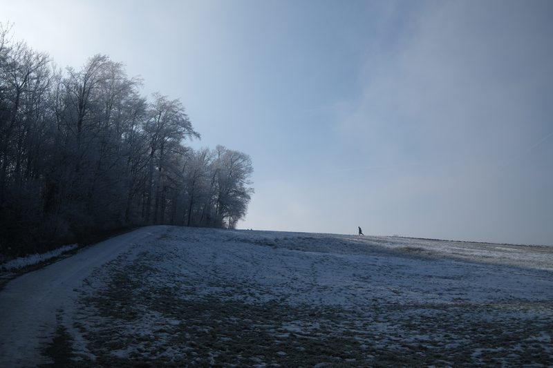 Photograph 6 of 6, January 2026