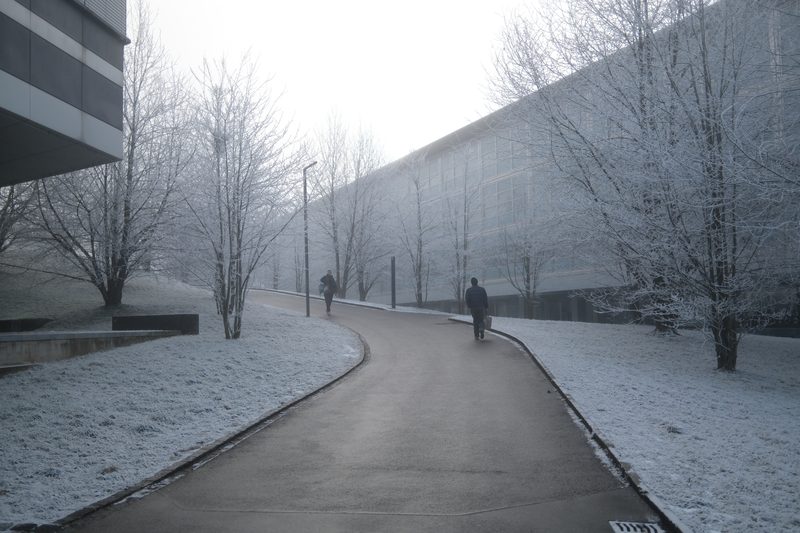 Photograph 4 of 6, January 2026